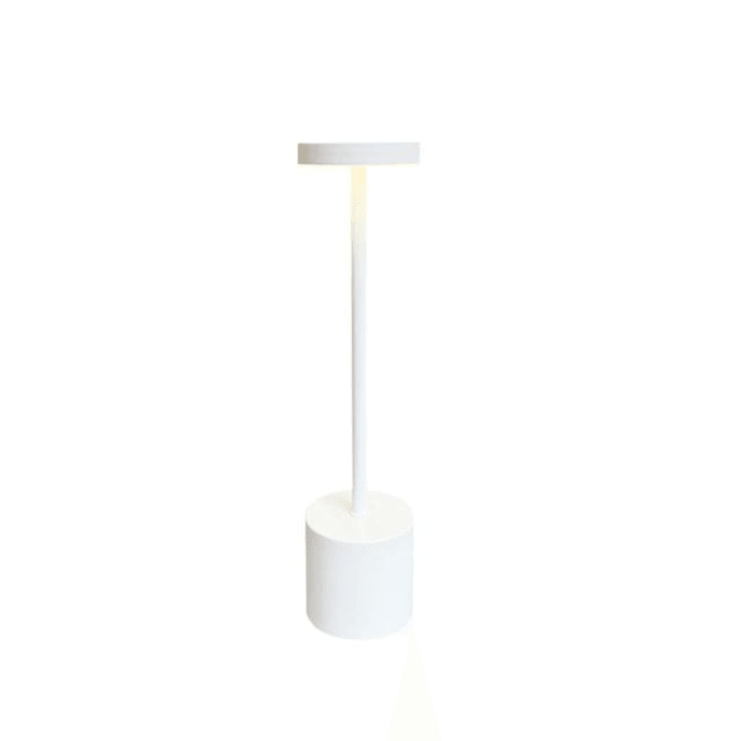 Chic LoraGlow Wireless Table Lamp | USB Rechargeable | Metal & LED | Dimmable Design