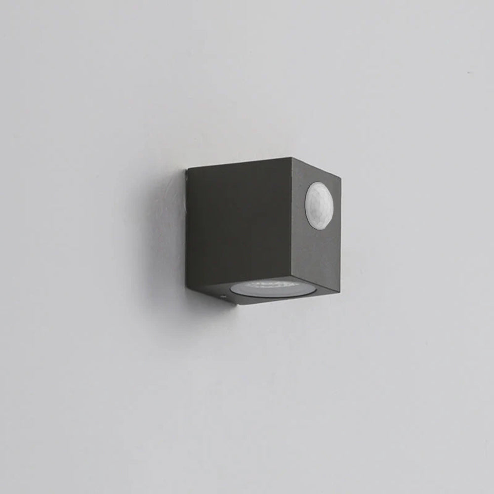 Ray Contemporary Rectangular LED Outdoor Wall Light - Metal and Glass for Corridors and Gardens