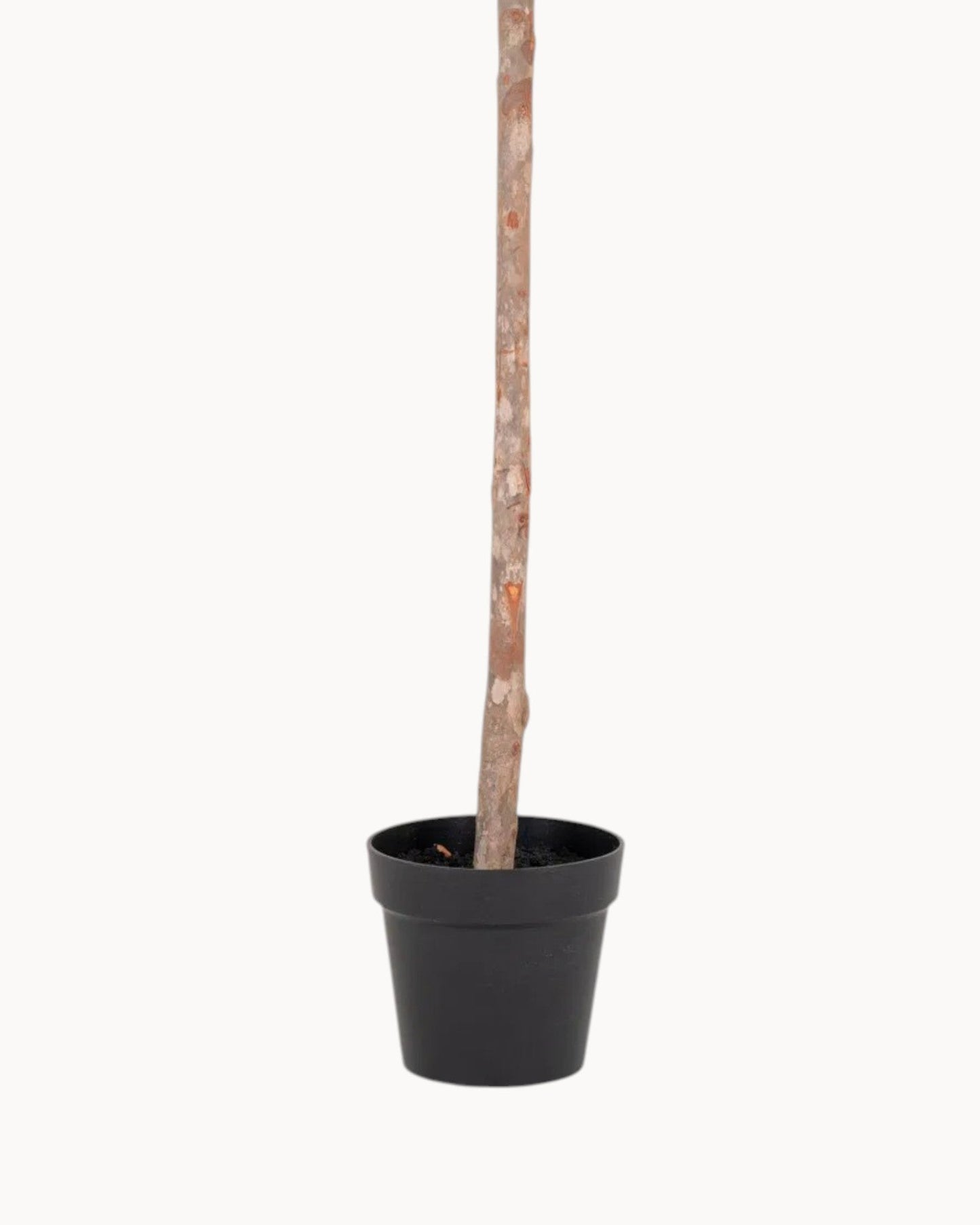 150 cm Artificial Olive Tree – Lush Green Indoor Decorative Plant