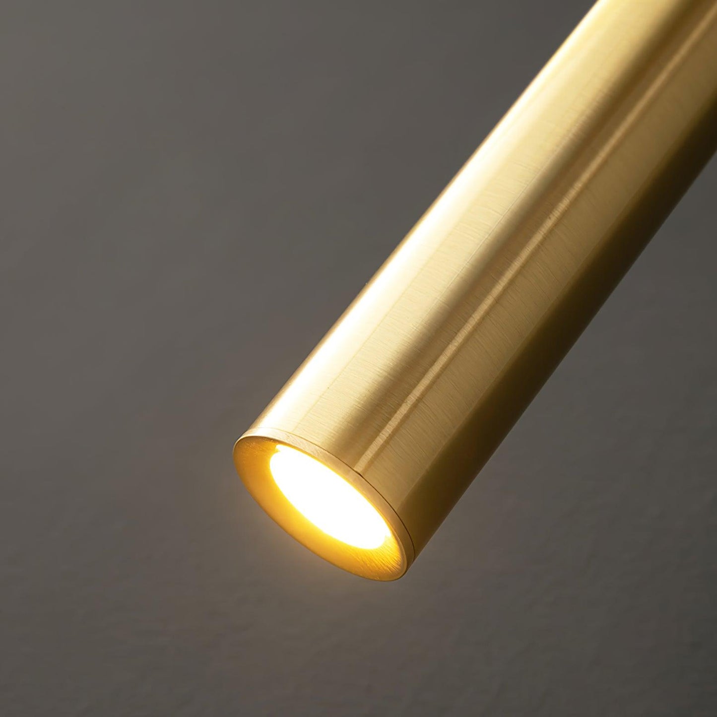 Cecilia Indoor Wall Sconce with Brass Accents