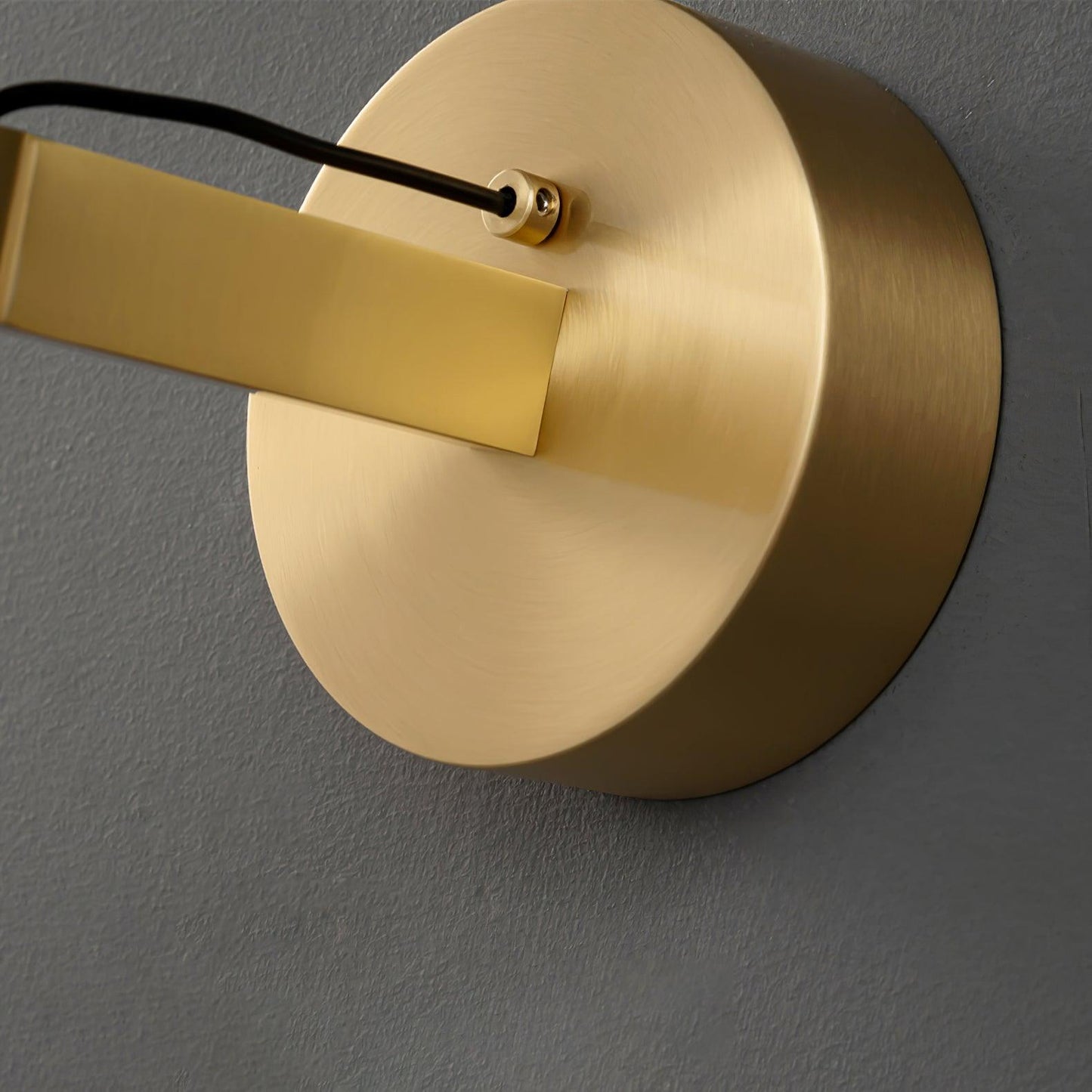 Cecilia Indoor Wall Sconce with Brass Accents