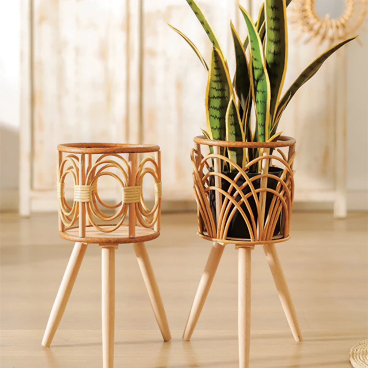 Radiant Oasis Woven Basket