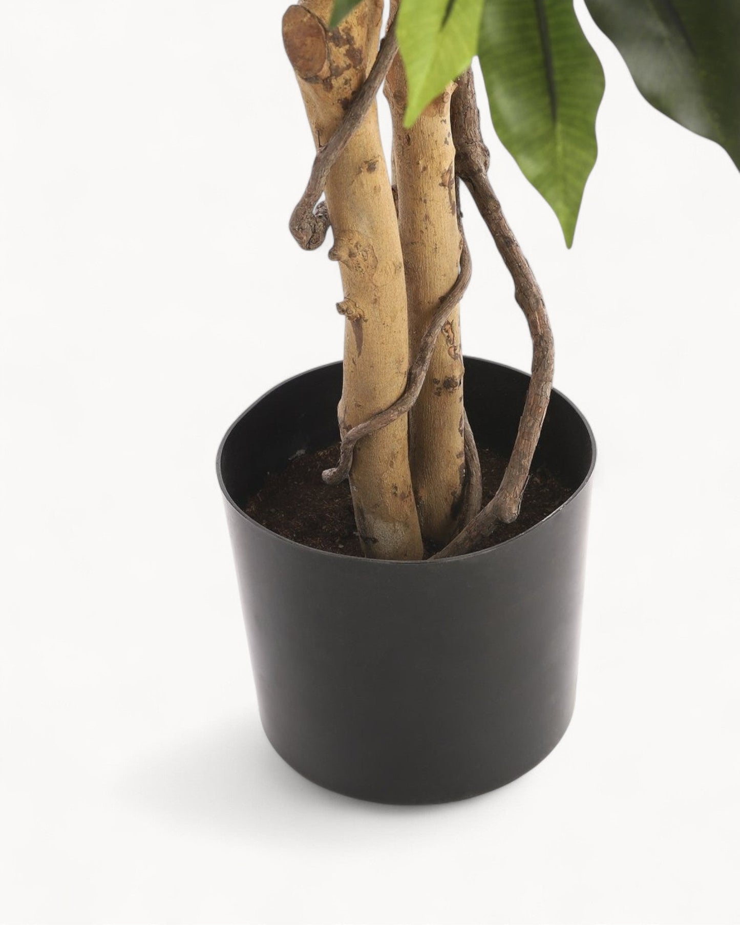 Mica Decorations Ficus Flair – Green Artificial Plant, 110 cm Height x 65 cm Diameter