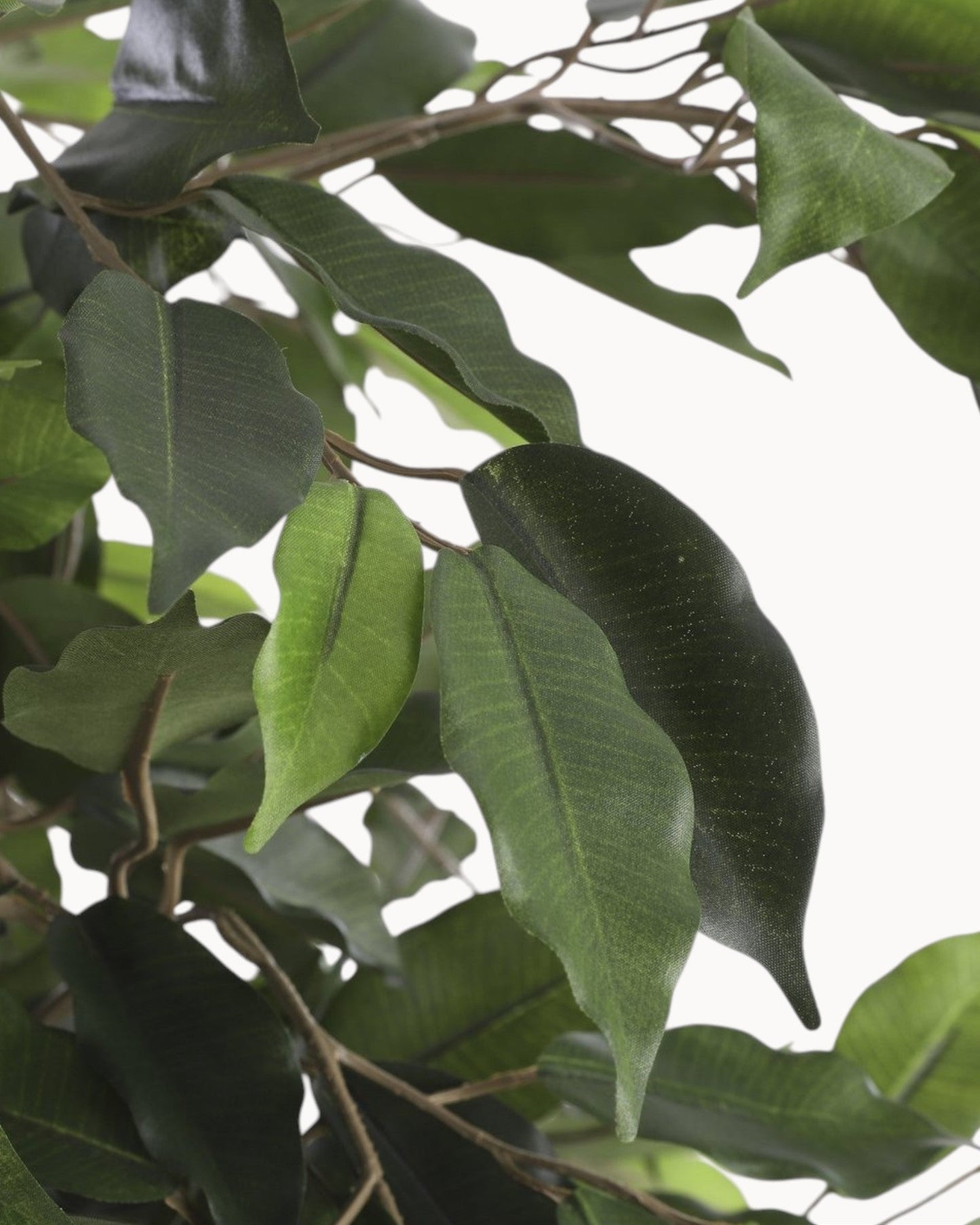 Mica Decorations Ficus Flair – Green Artificial Plant, 110 cm Height x 65 cm Diameter