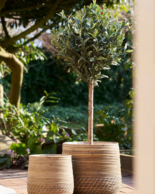 120 cm Green Artificial Olive Tree – Indoor Decorative Plant