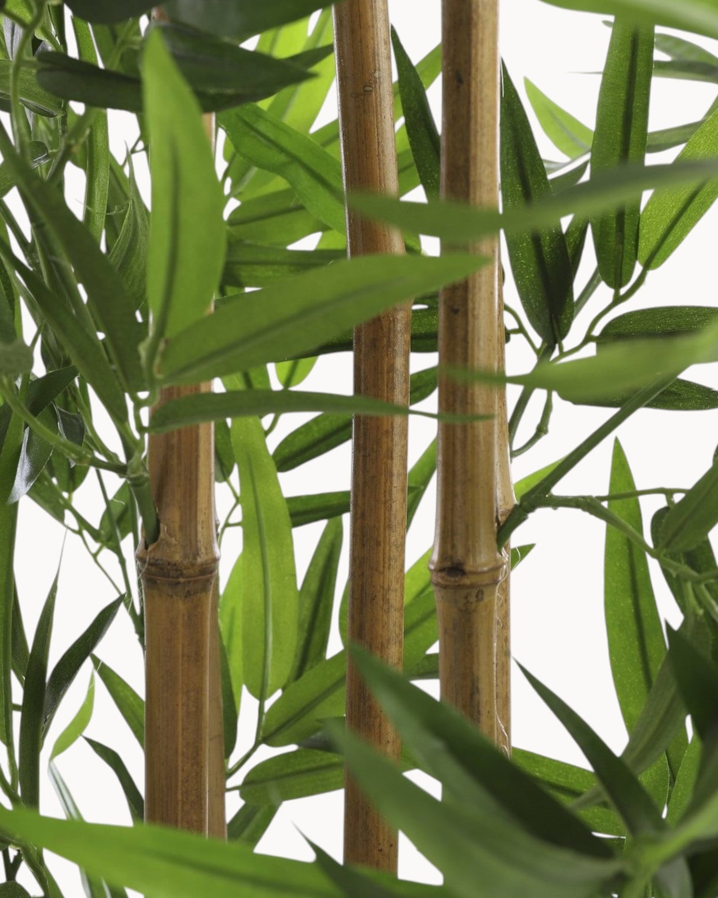 Mica Decorations – 155 cm Artificial Bamboo Plant – No Maintenance Required