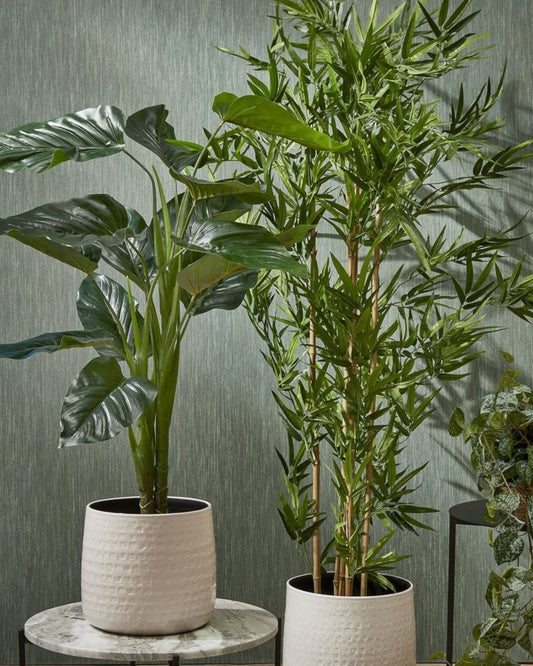 Mica Decorations – 155 cm Artificial Bamboo Plant – No Maintenance Required
