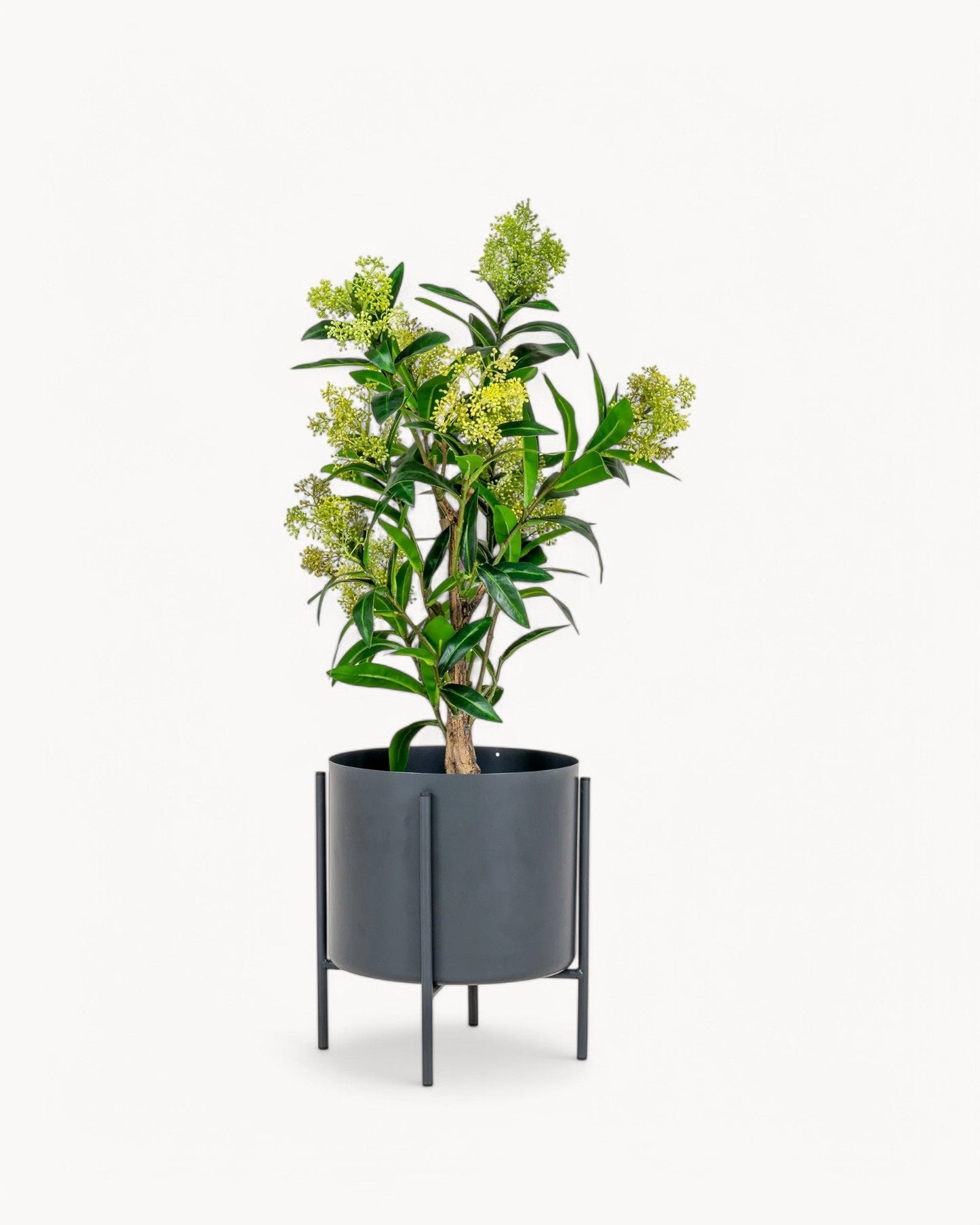 75 cm Green Artificial Skimmia Tree - Durable PE Plastic Plant