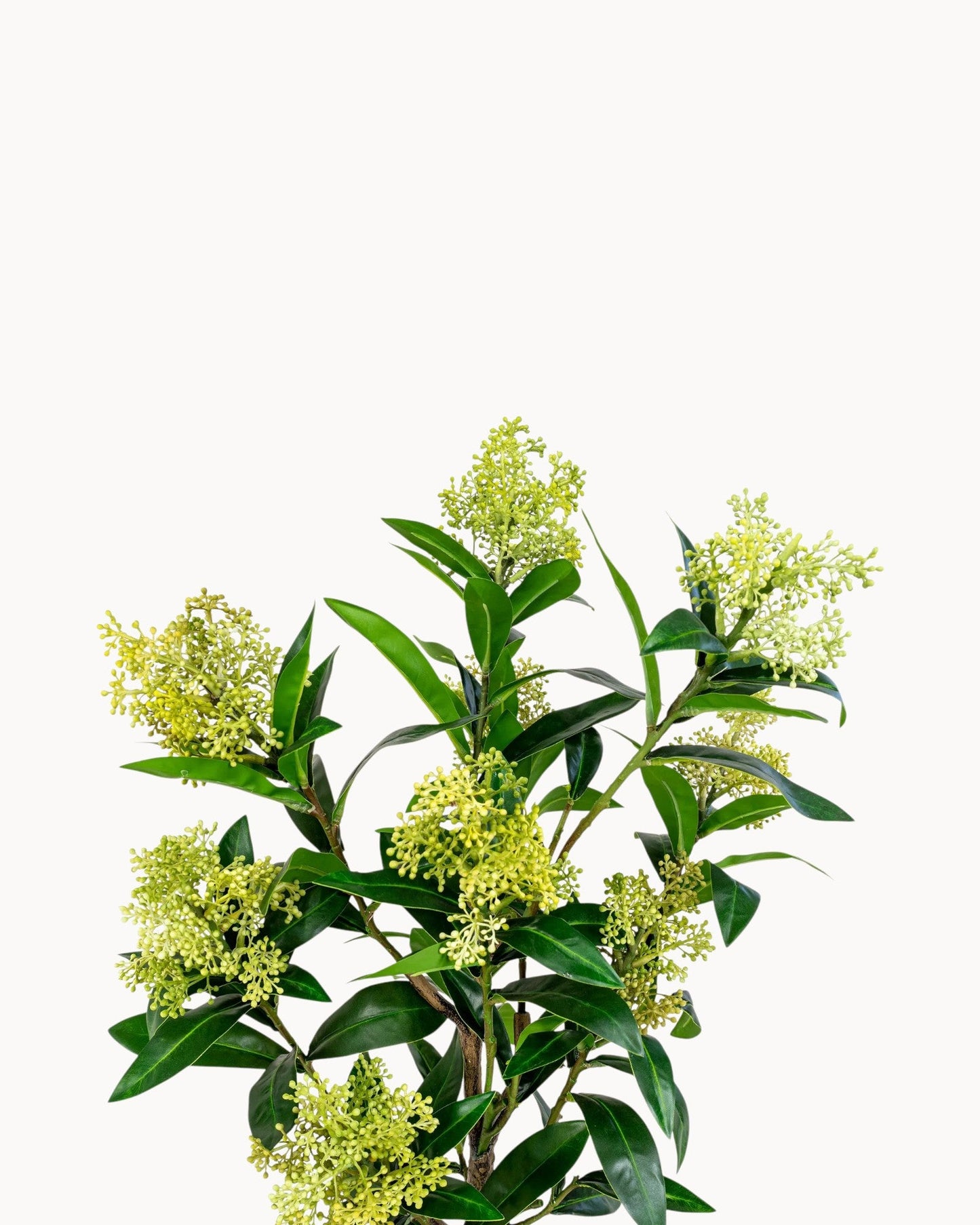75 cm Green Artificial Skimmia Tree - Durable PE Plastic Plant
