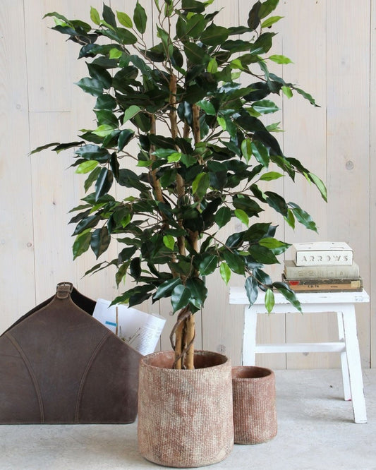 Mica Decorations Ficus Flair – Green Artificial Plant, 110 cm Height x 65 cm Diameter