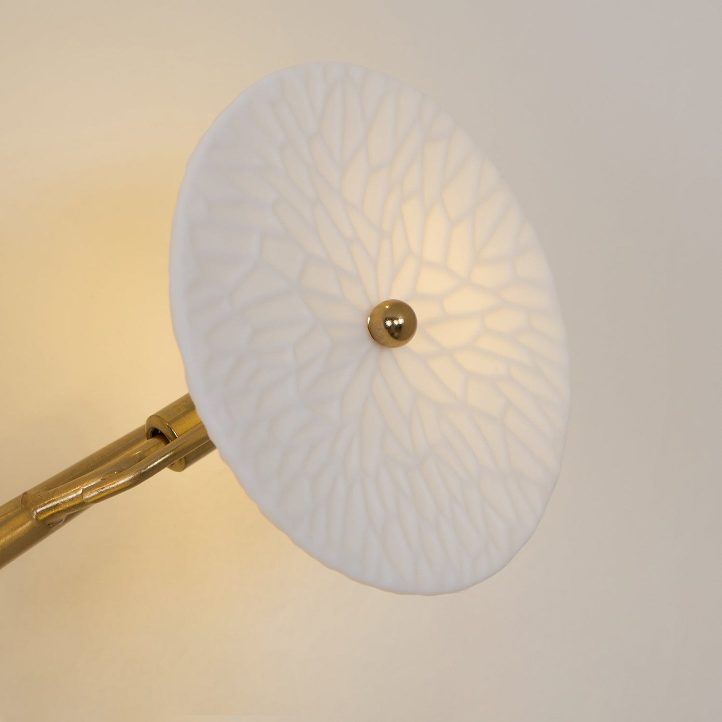 Lotus Leaf Wall Light by Kaivo