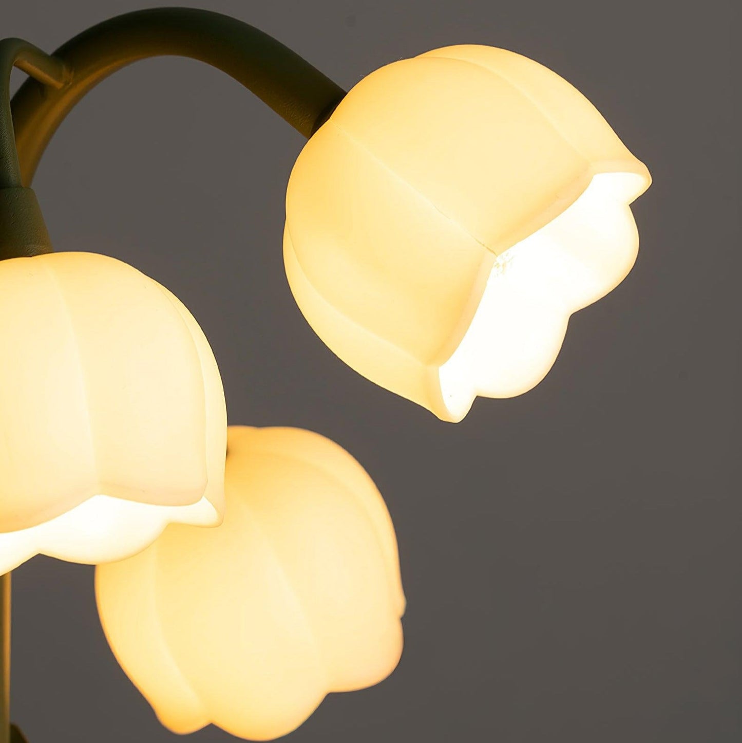 Aelis Indoor Natural Orchid Wall Lamp