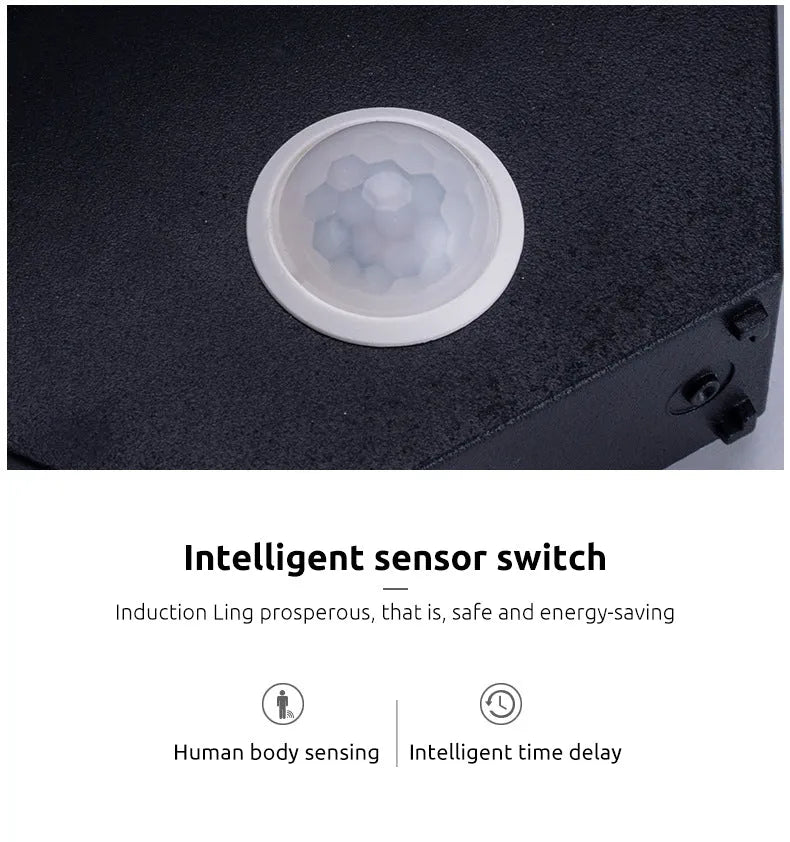 Ray Motion Sensor LED Outdoor Wall Light for Garden and Hallway