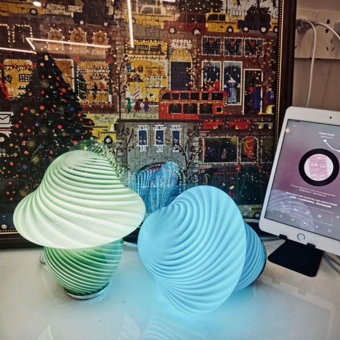 Clara Table Lamp  LED Night Light